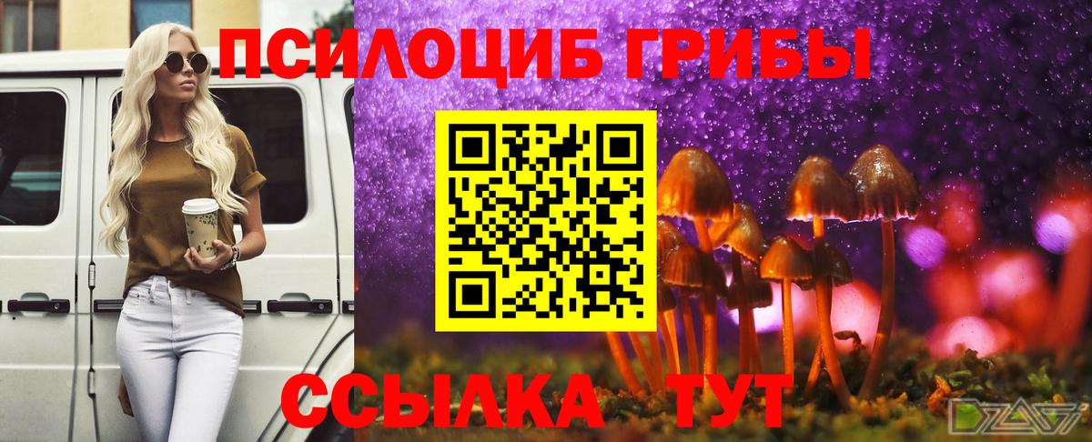 Псилоцибиновые грибы MAGIC MUSHROOMS Белово